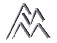 Академия Инженерного Мастерства лого