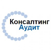 Консалтинг-Аудит, УЦ logo