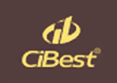 CiBest, международная бизнес-академия logo