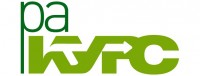 Ракурс logo