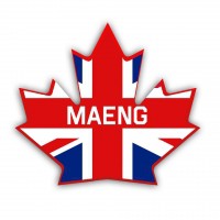 MAENG лого