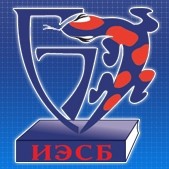 Институт электронных систем безопасности (ИЭСБ) лого