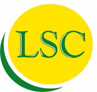 Лингва Сервис Центр, НОУ лого