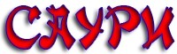 Саури, НОУ Школа-студия logo
