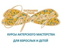 Стрекоза, театральная студия logo