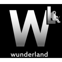 Digital School WunderLand лого