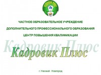 ЧОУ ДПО ЦПК "Кадровик Плюс" logo